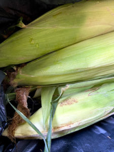 corn, We had a super &#8216;CORNY&#8217; weekend