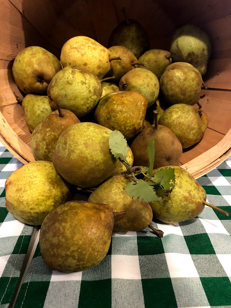 kieffer pears for sale at the hardin county farmers market