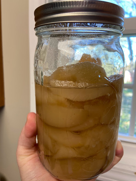 cooked kieffer pears sealed in jar