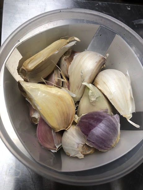 Read more about the article Is it time to plant the garlic yet?   (Yes!)