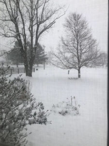 view of snowy yard from soap room window