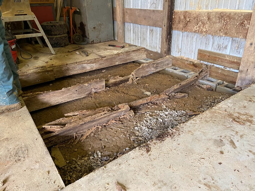 floor joists consumed with termite damage