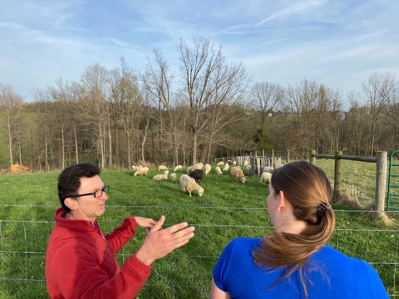 husband and wife discussing sheep