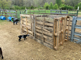 compost bins made from used pallets