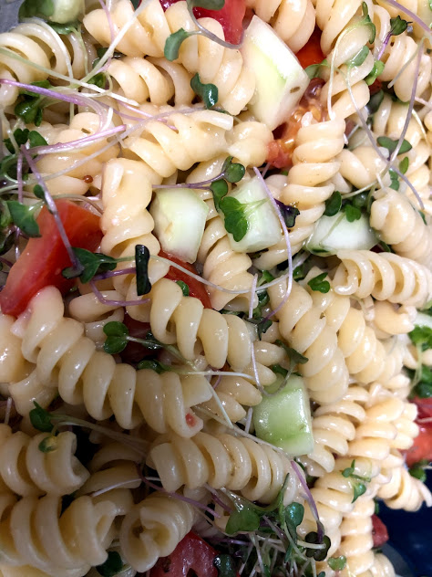 You are currently viewing Microgreens Pasta Salad