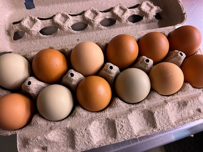 Read more about the article EGGcellent information about our Farm Fresh Eggs