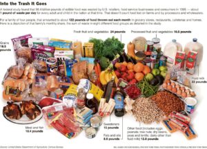 graphic showing various food products that are usually wasted