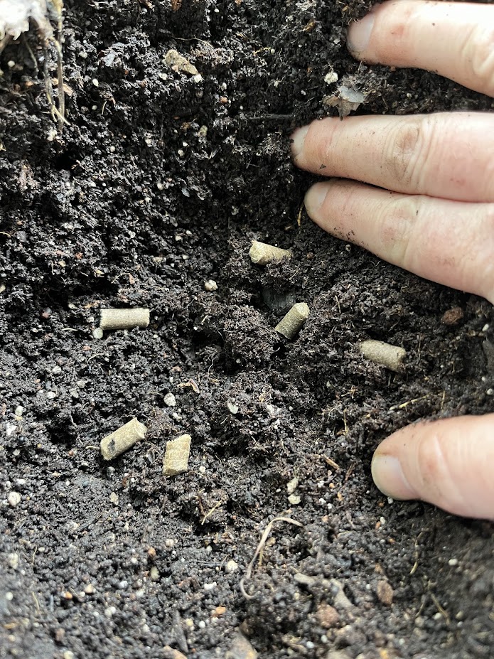 wool pellets in groun