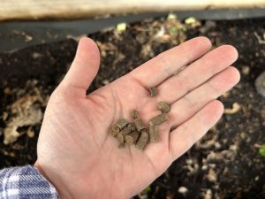 handful of wool pellets